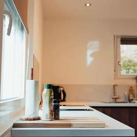 Kindvriendelijk In Met Tuin - Modern&rustig Gelegen Winterberg